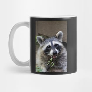 Smiling Raccoon! Mug